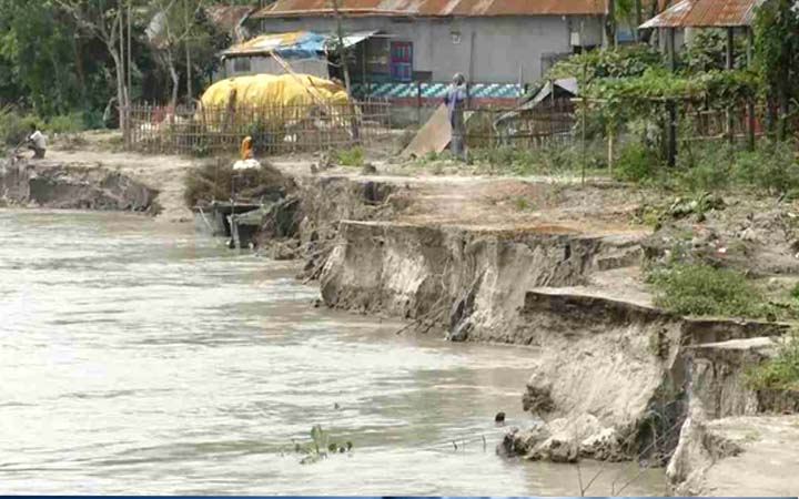 কুড়িগ্রামে তিস্তার ভাঙনে দিশেহারা মানুষ