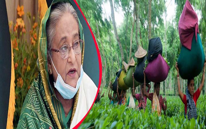 শনিবার চা শ্রমিকদের সাথে কথা বলবেন প্রধানমন্ত্রী