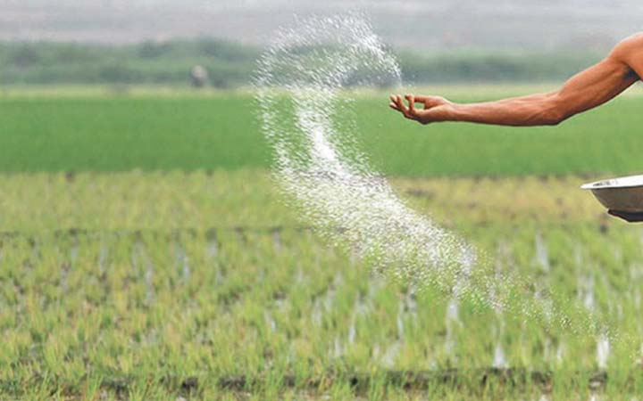 রাশিয়া থেকে এক লাখ ৮০ হাজার টন সার কিনবে সরকার