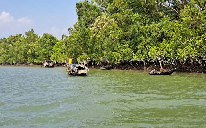 সুন্দরবনের দ্বার খুলছে কাল