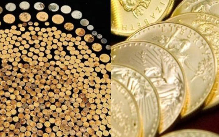 ভুট্টাক্ষেত থেকে মিলল ৭০০ স্বর্ণমুদ্রা!