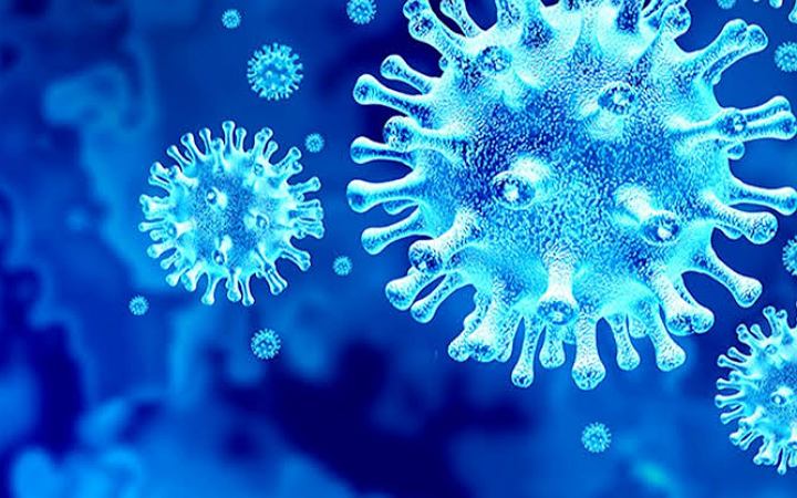 রংপুরে চোখ রাঙাচ্ছে করোনা ও ডেঙ্গু