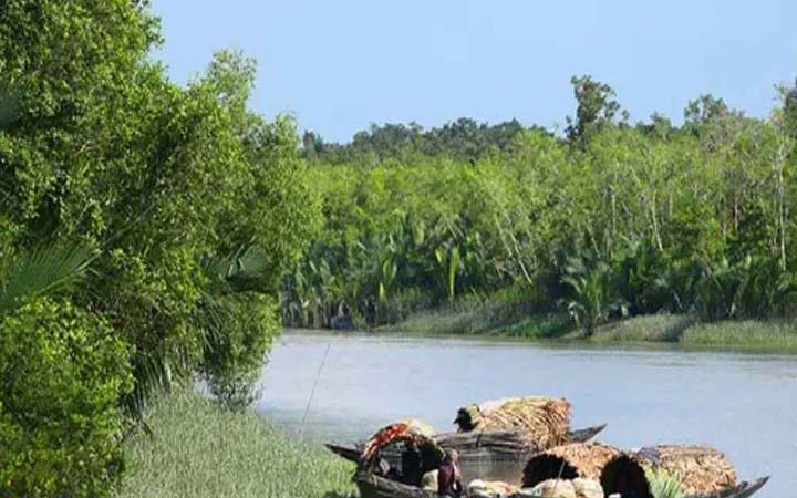 নিষেধাজ্ঞা শেষে ১ সেপ্টেম্বর খুলছে সুন্দরবন