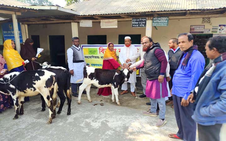 বাছুর দেয়ার ফটোসেশন করে খিচুড়ির প্যাকেট ধরিয়ে দিলো ধুর্তবাজ এনজিও