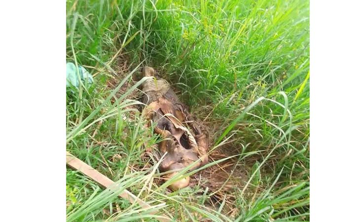 নোয়াখালীতে অজ্ঞাত মহিলার কঙ্কাল উদ্ধার