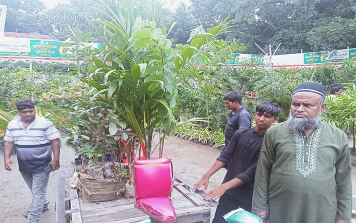 বৃষ্টির বাধা, তবুও জমে উঠছে সাতক্ষীরার বৃক্ষমেলা