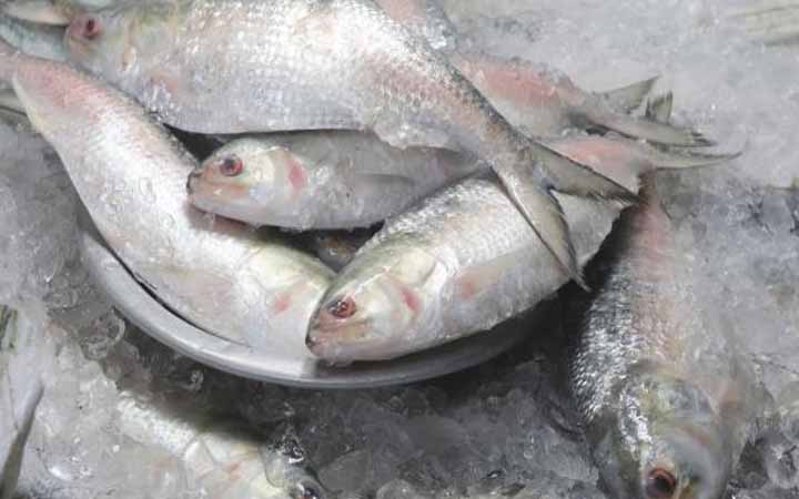 ভারতে ইলিশ রপ্তানি বন্ধে লিগ্যাল নোটিস