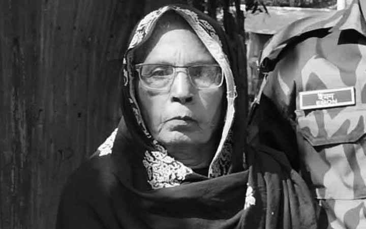 লামায় ভীমরুলের কামড়ে বৃদ্ধার মৃত্যু
