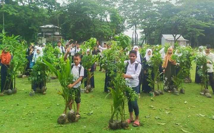 চরফ্যাশনে উপকূল রক্ষায় শিক্ষার্থীদের বিনামূল্যে গাছের চারা বিতরণ