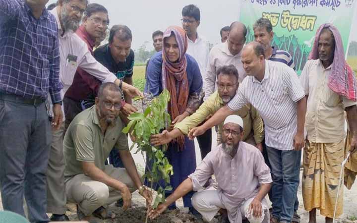 রাজারহাটে ২৫ কোটি বৃক্ষরোপণ কর্মসূচির অংশ হিসেবে ইউএনও’র বৃক্ষরোপণ