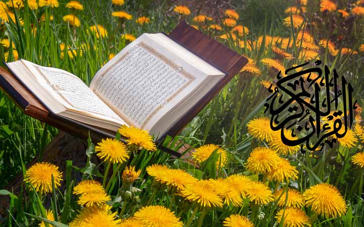 দুর্যোগ মোকাবেলায় ইসলাম মানুষকে ভয় নয়, বরং সচেতনতার শিক্ষা দেয়