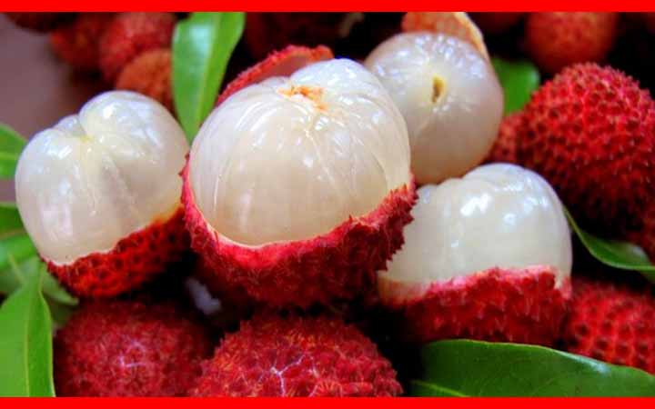 খালি পেটে লিচু খাওয়া স্বাস্থ্যের জন্য ক্ষতিকর