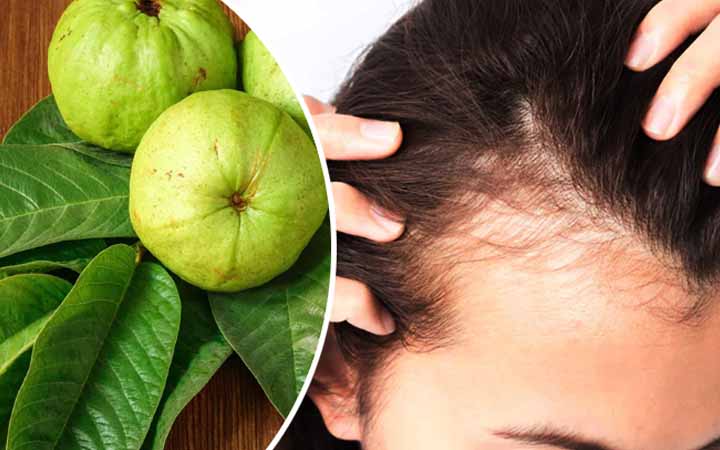 চুলের যত্নে পেয়ারা পাতা ফোটানো পানির ব্যবহার