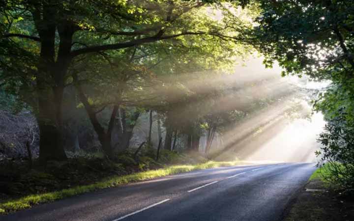 কোন সময়ের রোদ সবচেয়ে বেশি উপকারী?