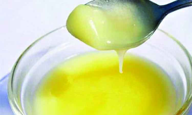 বর্ষায় ঘি খাওয়ার গুরুত্ব