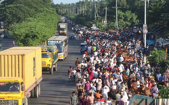 ঈদযাত্রায় পথের কাঁটা পশুর হাট