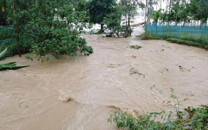 শেরপুরের মহারশি নদীর বাঁধ ভেঙে নিচু এলাকা প্লাবিত