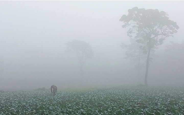 কুড়িগ্রামে কমছে তাপমাত্রা, বাড়ছে শীতের তীব্রতা