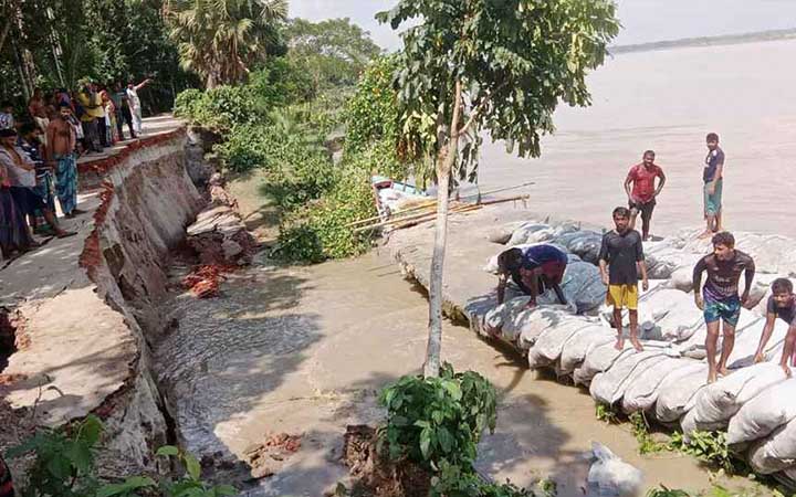 মধুমতির তীব্র ভাঙনের মুখে চাচই-ধানাইড় সড়ক