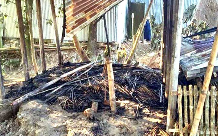 বগুড়ায় অগ্নিকাণ্ডে কৃষকের তিন গরুর মৃত্যু