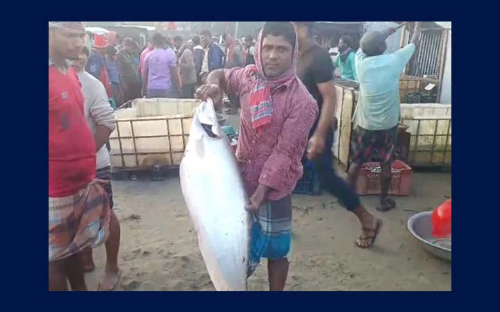 বড়শিতে ধরা পড়ল ৯ কে‌জির চিতল