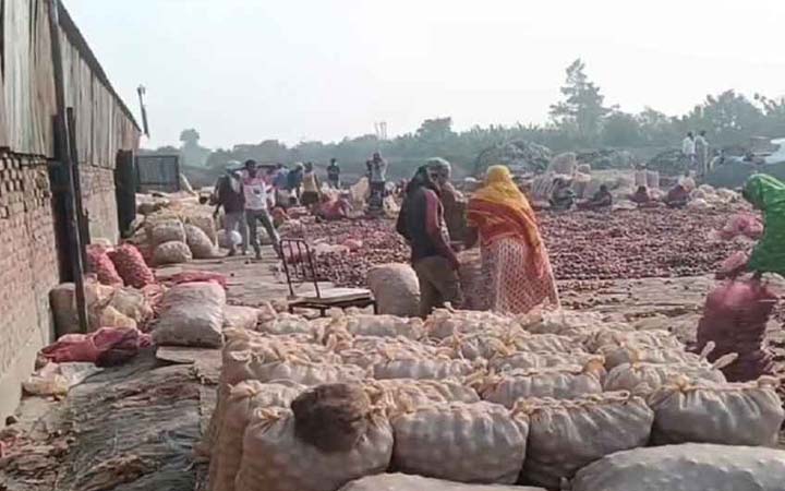 বাংলাদেশে রপ্তানি বন্ধ, সীমান্তে পচছে ৩০ হাজার টন ভারতীয় পেঁয়াজ