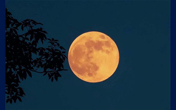 শনিবার দেখা যাবে বছরের প্রথম সুপারমুন