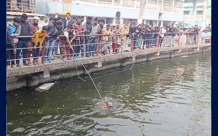 শীত উপেক্ষা করে এক ঘণ্টার চেষ্টায় কুকুর উদ্ধার
