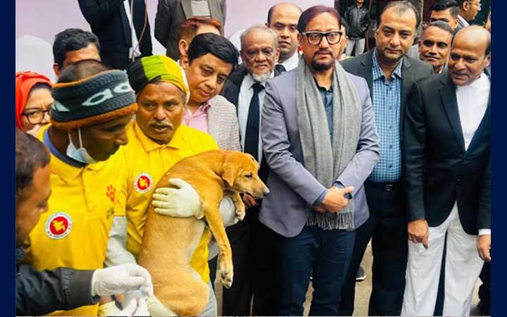 চসিকে কুকুরকে ভ্যাকসিন প্রদান শুরু