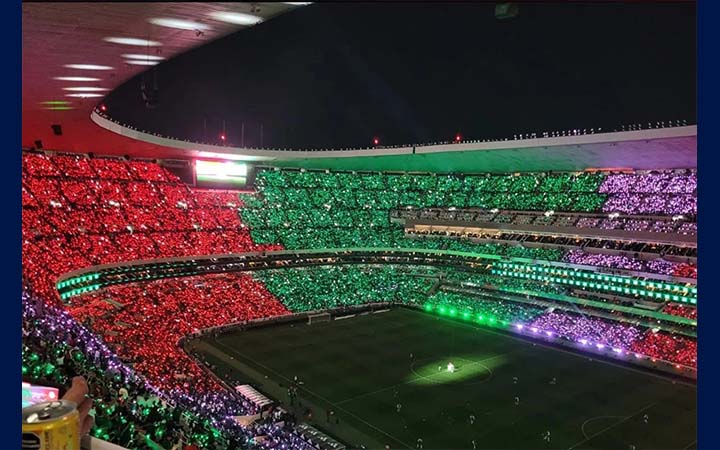 পর্তুগাল-মেক্সিকো ম্যাচে গ্যালারী থেকে পড়ে দর্শকের মৃত্যু