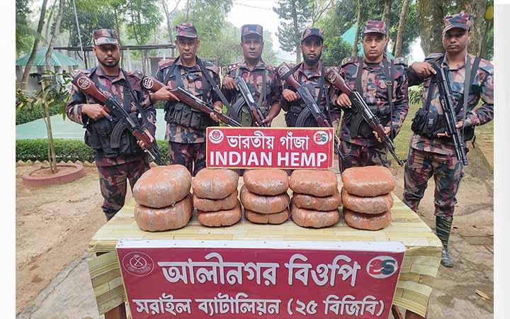 ব্রাহ্মণবাড়িয়ায় বিজিবির ভারতীয় গাঁজা উদ্ধার