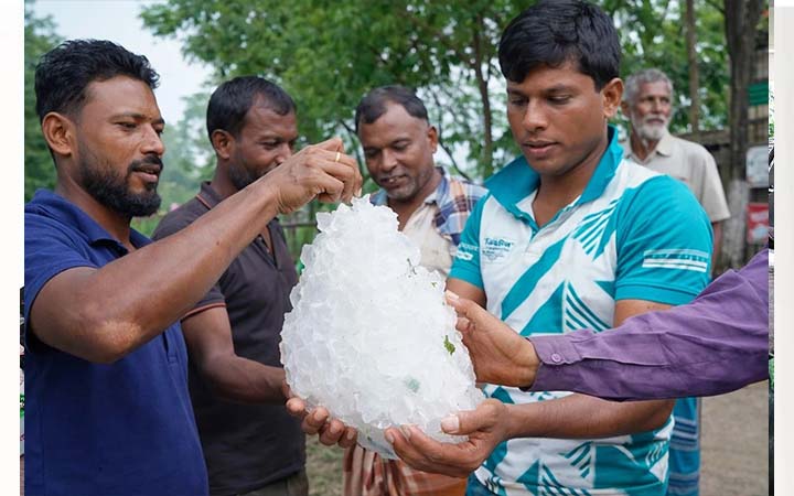 ঝিনাইদহে বেগুন ক্ষেতে মিলল অস্বাভাবিক বড় শিলাখণ্ড