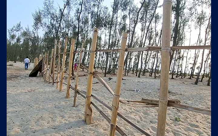 কক্সবাজারে ঝাউবাগান উজাড় করে গড়া অবৈধ মৎস্য ঘের উচ্ছেদ