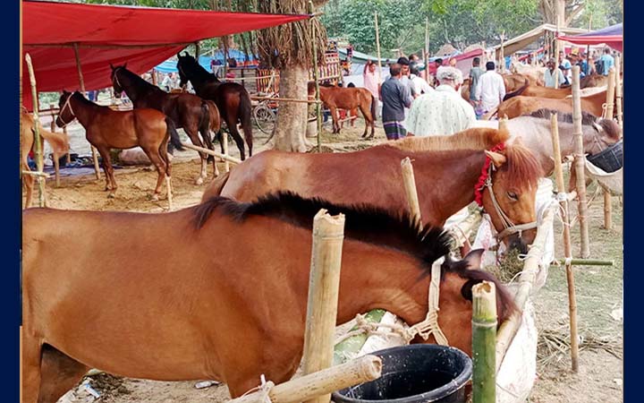 দিনাজপুরে ঐতিহ্যবাহী ঘোড়ার মেলা