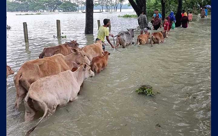 টানা বর্ষণ ও পাহাড়ি ঢলে সিলেটের নদ-নদীতে বেড়েছে পানি, বন্যার শঙ্কা