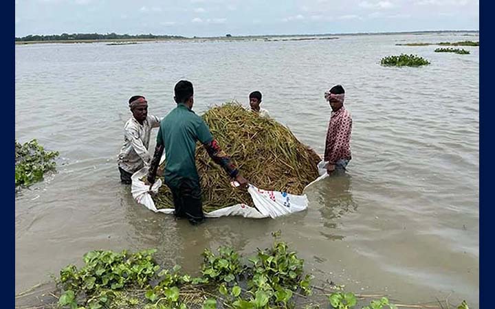 হাওরে বন্যার উন্নতি হতে পারে ‘তিন দিনের মধ্যে’