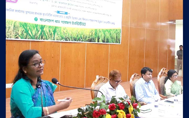 ব্রির এলএসটিডি প্রকল্পের কর্মশালা, তিনটি নতুন ধানের জাত অবমুক্ত