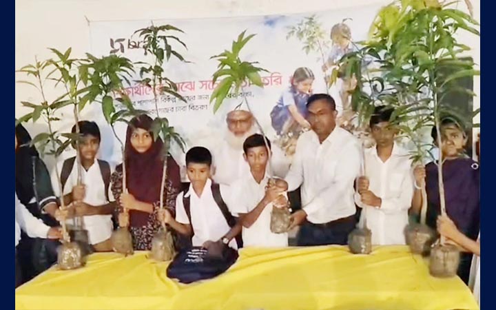 কলাপাড়ায় গাছের চারা বিতরণ