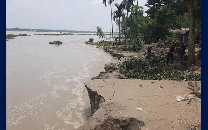 কুড়িগ্রামে পানি কমলেও তীব্র নদীভাঙন, বিলীন হচ্ছে ঘরবাড়ি-ফসলি জমি