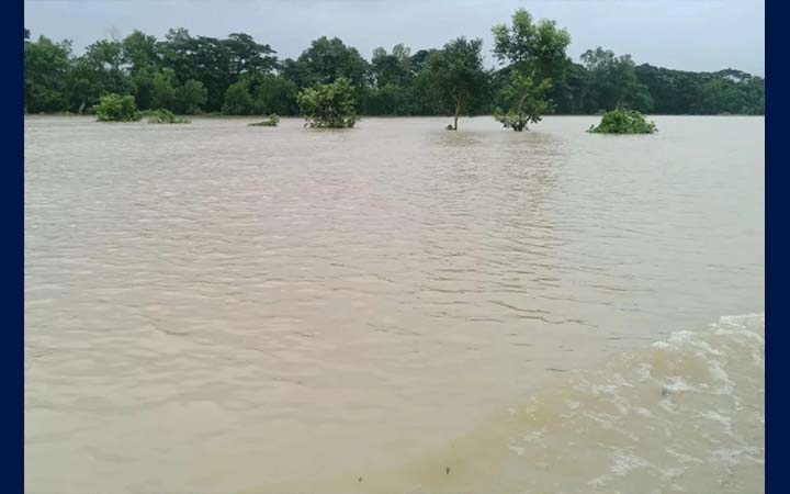 চট্টগ্রামে পানিবন্দি মানুষের বেঁচে থাকার লড়াই