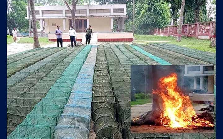 ফুলবাড়ী ও বিরলে নিষিদ্ধ জাল পুড়িয়ে ধ্বংস