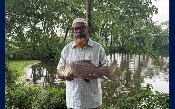 পেনশনের টাকায় তিন পুকুরে মাছ চাষ, বিষ প্রয়োগে মেরে ফেলল দুর্বৃত্তরা