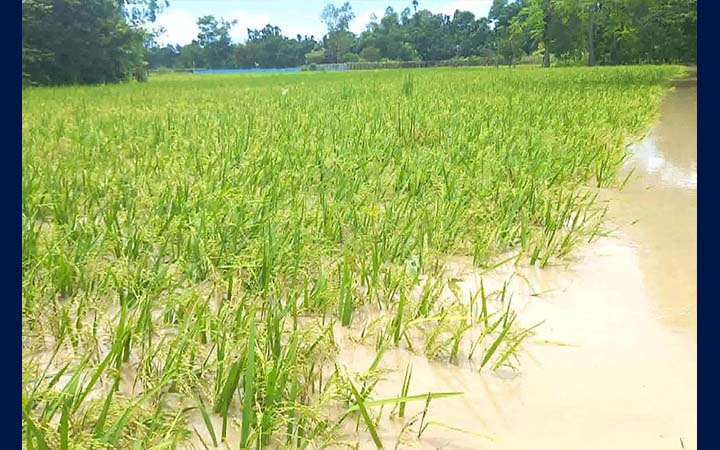 খোয়াই নদীর বাঁধে ফের ভাঙন: প্লাবিত ১৫ গ্রাম, ব্যাপক ক্ষতির শঙ্কা