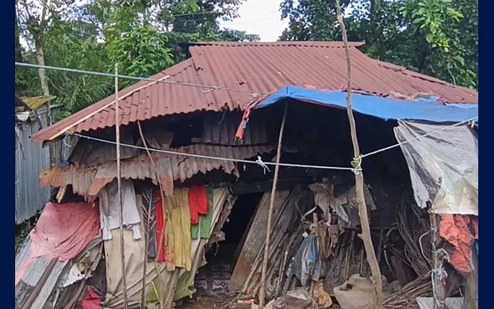 ১৫ বছর ধরে ঘরবন্দী ৬৫ বছরের সালেহা, ভাঙা ঘরেই একাকী জীবন