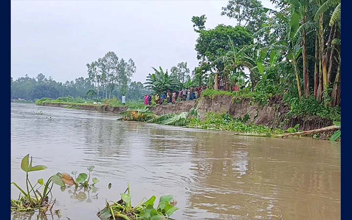 যমুনায় পানি বাড়তেই শহড়াবাড়ি স্পারে ভাঙন, নদী এগোচ্ছে বসতির দিকে