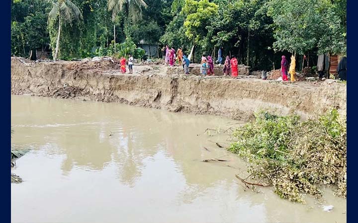 মধুমতির ভাঙনে সর্বহারা শত শত পরিবার, জরুরি বাঁধের দাবি