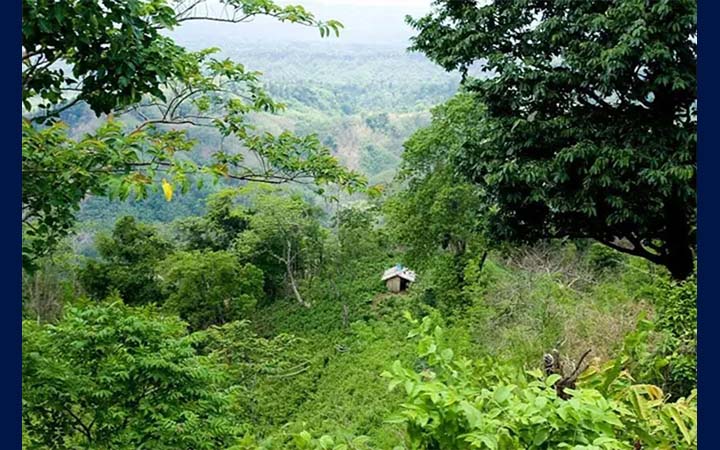সাজেকে ভ্রমণ সাময়িক বন্ধ ঘোষণা