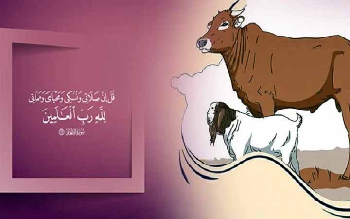 কোরবানি শুদ্ধ হওয়ার জন্য কিছু বিষয় লক্ষ রাখা প্রয়োজন