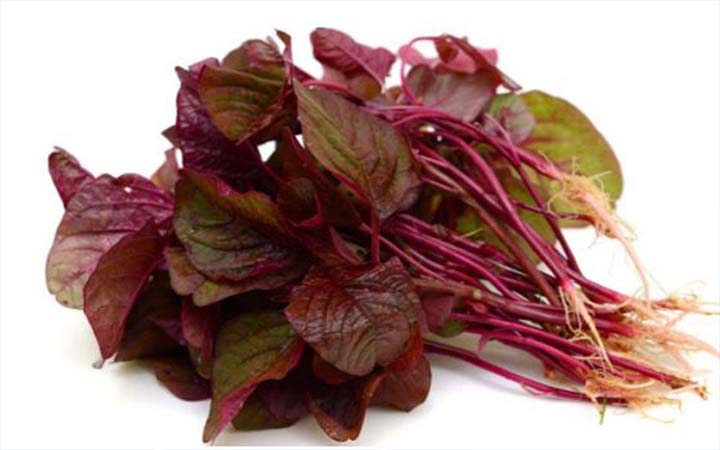 নানা রোগের ‘ওষুধ’ লাল শাক!