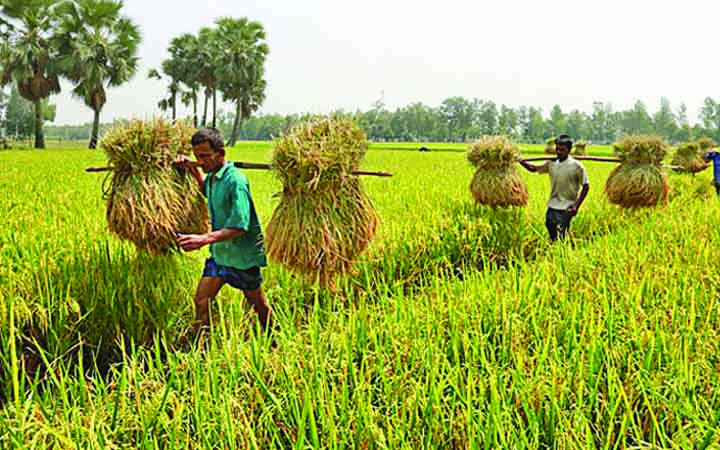 টেকসই কৃষির জন্য ৭ হাজার কোটি টাকার প্রকল্প
